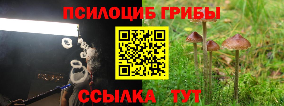 Галлюциногенные грибы Magic Shrooms  Вход с VPN  Чехов 